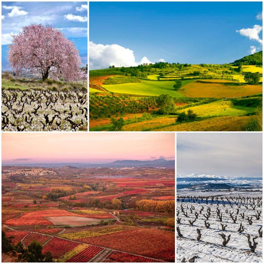 Апартаменти Marques De La Rioja Логроньйо Екстер'єр фото